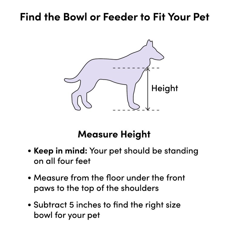 Correct height shop for dog bowl